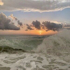 Meet your Posher, Kat